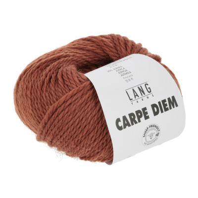 Carpe Diem 87 - hnědá příze LANG YARNS