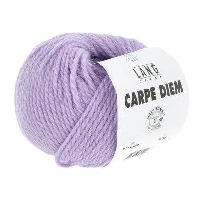 Carpe Diem 107 - fialová příze LANG YARNS